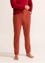 Pijama bărbați Maxwell Bumbac