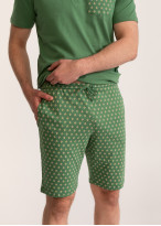 Pijama bărbați VERT